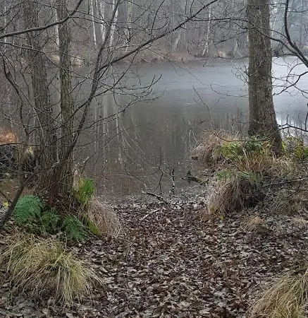 Gemuetliches In Seenaehe Hébergement de vacances *