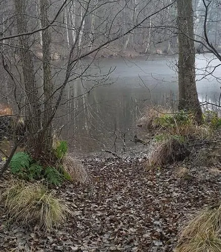 Gemuetliches In Seenaehe Hébergement de vacances *