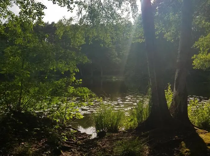 Gemuetliches In Seenaehe Sewekow